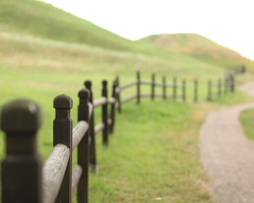 landscape_field_fence_wood_green_nature_fields_agriculture-950482