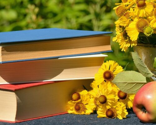 books_read_garden_sun_brews_apple_literature_used_books_relax-789092