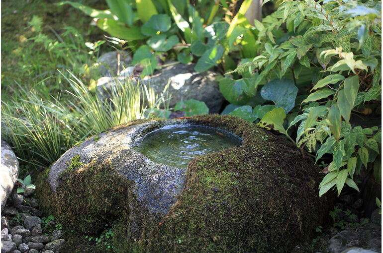 8089006203_ebf56ce84a_b