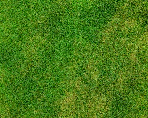 abstract_backdrop_background_field_football_fresh_golf_grass-1354488