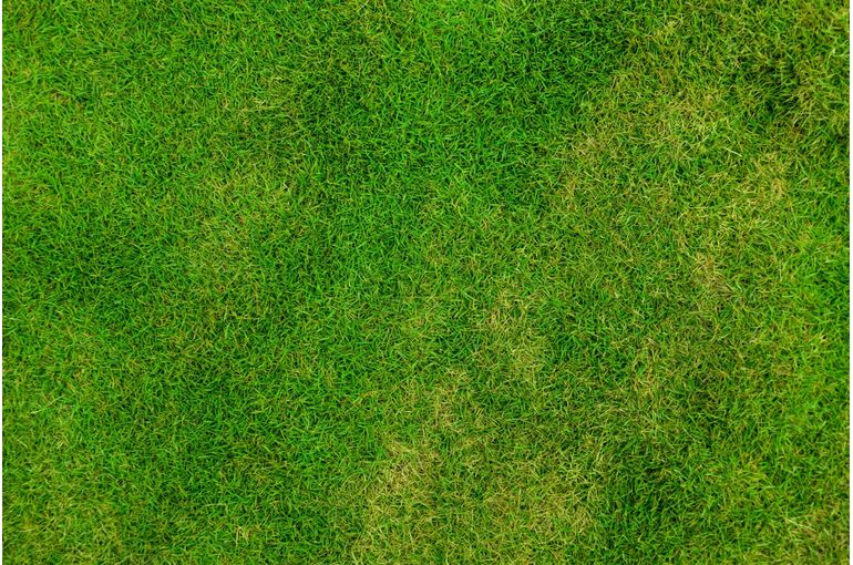 abstract_backdrop_background_field_football_fresh_golf_grass-1354488